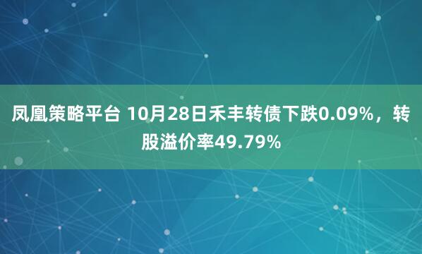 凤凰策略平台 10月28日禾丰转债下跌0.09%,转股溢价率49.79%