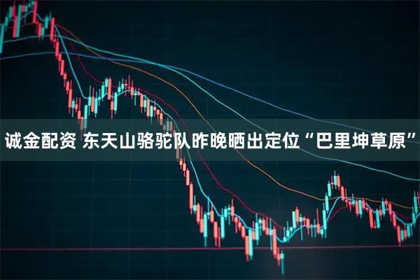 诚金配资 东天山骆驼队昨晚晒出定位“巴里坤草原”